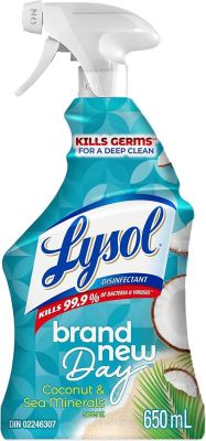 4.99 LYSOL DISINFECTING SPRAY BRAND NEW DAY COCONUT AND SEA MINERALS 650 ML