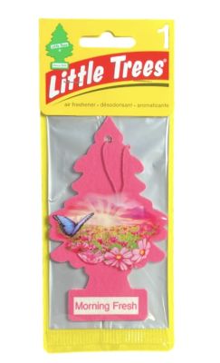 LITTLE TREES MORNING FRESH 
