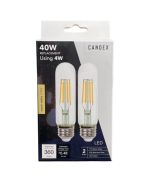 3.99 40 W LED LIGHT BULB 2 PACK