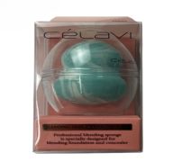 1.99 BLENDING SPONGE AND TRAVEL CASE